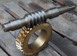 Autobiography worm shaft